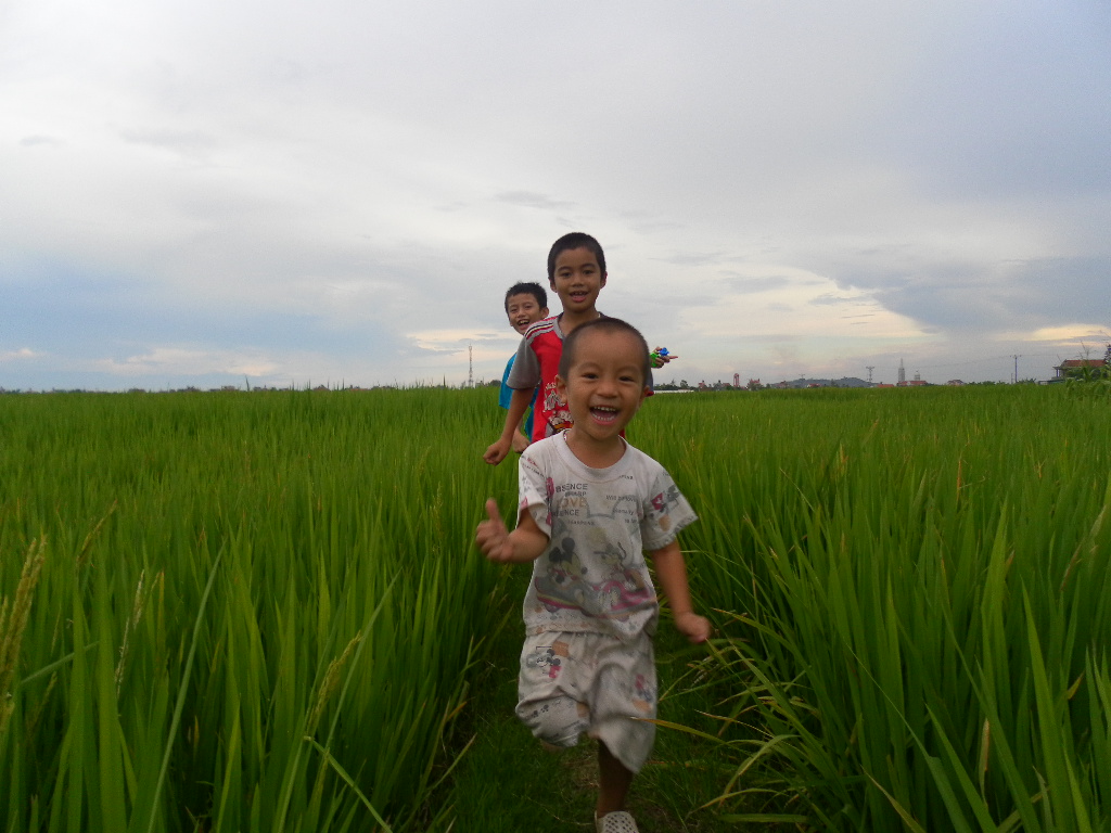 Trẻ em vui chơi trên đồng lúa.